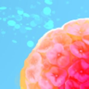 Meet your Posher, Sonia